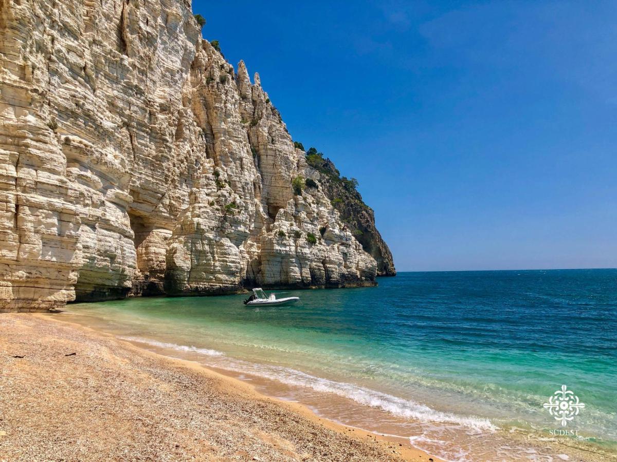 Appartement Infinito - Attico Sul Mare à Vieste Extérieur photo